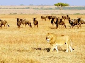 Image: Wonderful Destinations That You Should Visit When You are Young