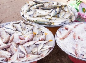 Image: Top 4 best seafood paradise in Vietnam