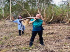 Image: Hunt For Natural Forest Honey in Vietnam s South Pole