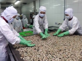 Image: VASEP proposes reducing multiple fees for seafood firms