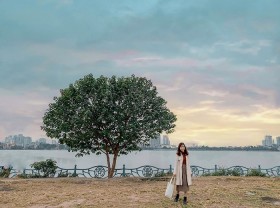 Image: What’s HOT about lonely trees in West Lake that young people check-in?