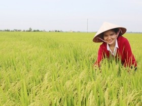 Image: APEC economies commit to 10-year food security roadmap