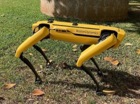 Image: Dog like Robot Sparks Debate in the US
