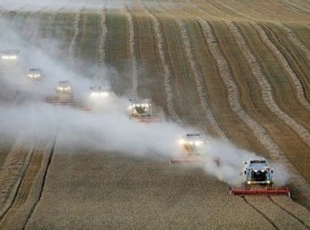 Image: Putin says Russia's 2021 grain crop at 127 mln tonnes will be adequate -Ifax