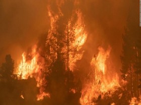 Image: Russian firefighting plane crashes in Turkey, eight killed - Ifax