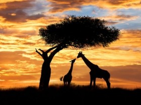 Image: Top 7 Must visit Places Worldwide for Gorgeous Sunset View