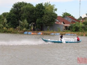 Image: Conference seeks solutions to boost tra fish chain after social distancing