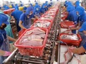 Image: Many Vietnamese seafood exporters are not subject to US anti-dumping tariffs