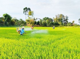 Image: Restoring production in key agricultural areas