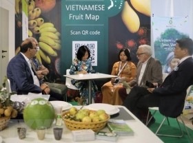 Image: Vietnamese specialty fruits introduced at famous Italian fruit fair