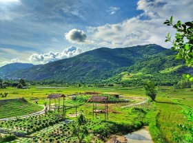 Image: ‘Check in’ at Du Long Ninh Thuan studio