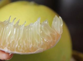 Image: Famed Phúc Trạch grapefruit sales suffer amid pandemic
