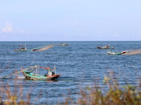 Image: Fishermen have a good season