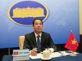 Image: Vietnam, Serbia hold online political consultation