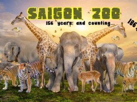 Image: Sài Gòn Zoo asks city for financial support