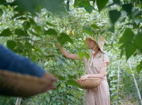 Image: The simple life “thousands of people dream” of a girl who builds a wooden house and grows vegetables in Da Lat