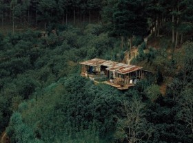 Image: 4 hidden cafes in the forest of Dalat