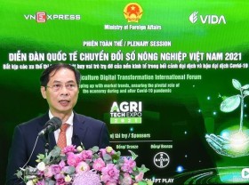 Image: Digital transformation vital to agricultural development: Minister