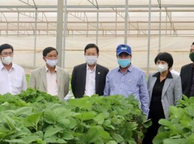 Image: Lam Dong Province works towards modern agriculture