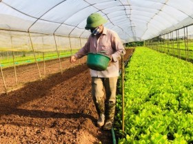 Image: Promoting winter crop production to ensure food demand by year end
