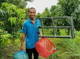 Image: Ca Na fruit in floating season