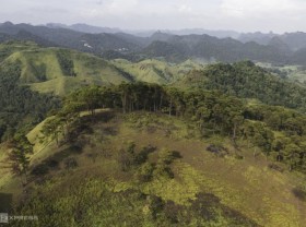 Image: Pine hills like ‘miniature Da Lat’ in Cao Bang