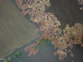 Image: Put a rope to prevent straw from floating in the flood