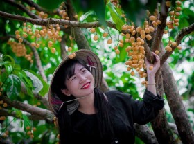 Image: Summer to the Western to enjoy sweet fruits in the garden