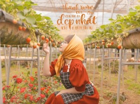 Image: Attending TOP 5 Moc Chau strawberry gardens, taking super pretty check-in photos