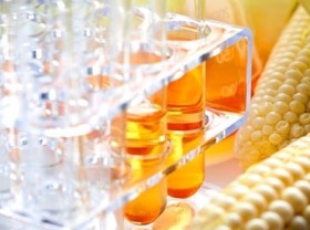 Image: Vietnam completes anti-dumping probe into corn syrup from China, ROK