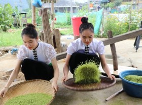Image: Cốm Tú Lệ, a specialty of northwestern mountainous region