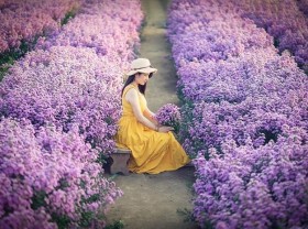 Image: Fall in love with Vung Tau heather garden with millions of virtual check-in corners