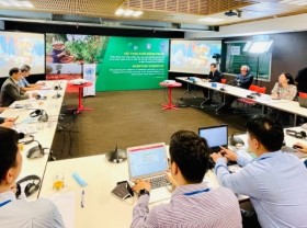 Image: UNDP project supports climate change adaption in central Vietnam
