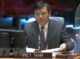 Image: Vietnam committed to fostering international peace and security: Diplomat