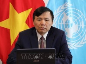 Image: Vietnam will try its best to fulfill its mission: Ambassador
