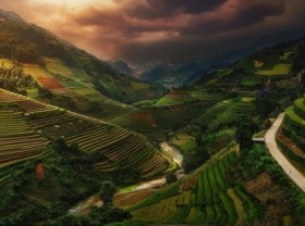 Image: Picture of Vietnamese rice terraces enters prestigious photography competition