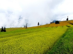 Image: Suôi Thầu Steppe home to wild and majestic beauty
