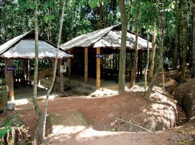 Image: Tay Ninh Chang Riec forest tour explores the history and learns about diverse ecosystems