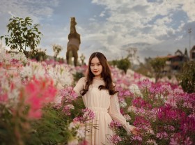 Image: The beautiful flower gardens in Vietnam show ‘so beautiful’ pictures, check-in for a session with virtual pictures all year round