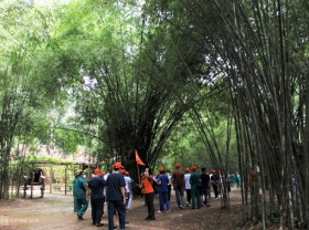 Image: Three inner city tours under 2 million VND for customers in Ho Chi Minh City