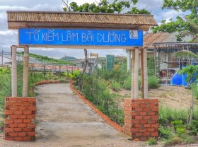 Image: A 10-day journey to ‘help give birth’ to turtles in Con Dao