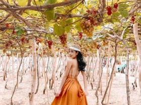 Image: Check-in wild and magnificent Ninh Thuan rock park