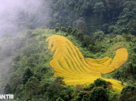 Image: Ha Giang four wild seasons
