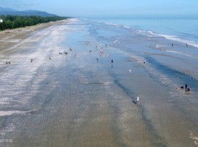Image: People flock to the sea to catch shellfish