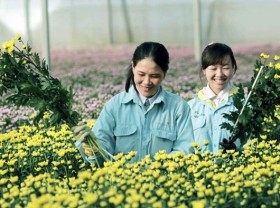 Image: Digital transformation helps boost rural tourism