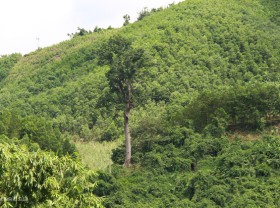 Image: ‘Treasures’ in Ben En National Park