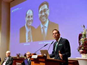 Image: Two Americans win Medicine Nobel for work on heat and touch