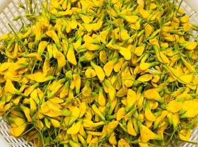 Image: 7 kinds of wild vegetables but hard to resist, only available in the floating season in the West