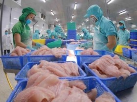Image: Fisheries sector sees recovery signs in October