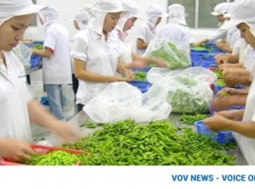 Image: Fruit and vegetable exports soar during four-month period